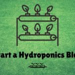 start a hydroponics blog